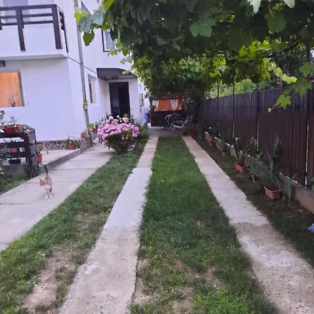 Casa Lica-2