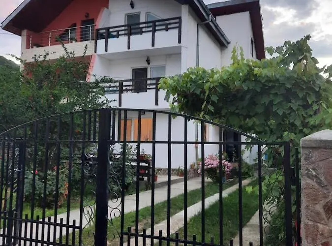 Casa Lica Apartment Căciulata